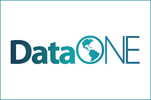 DATA ONE Logo
