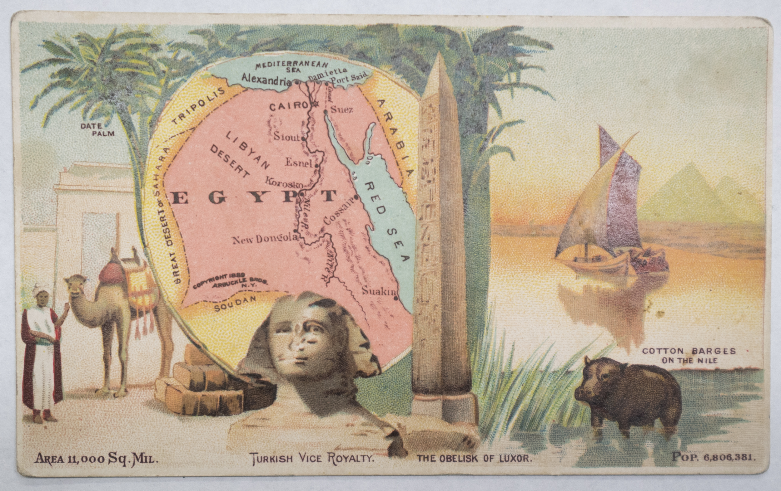 Postcard of Alexandria