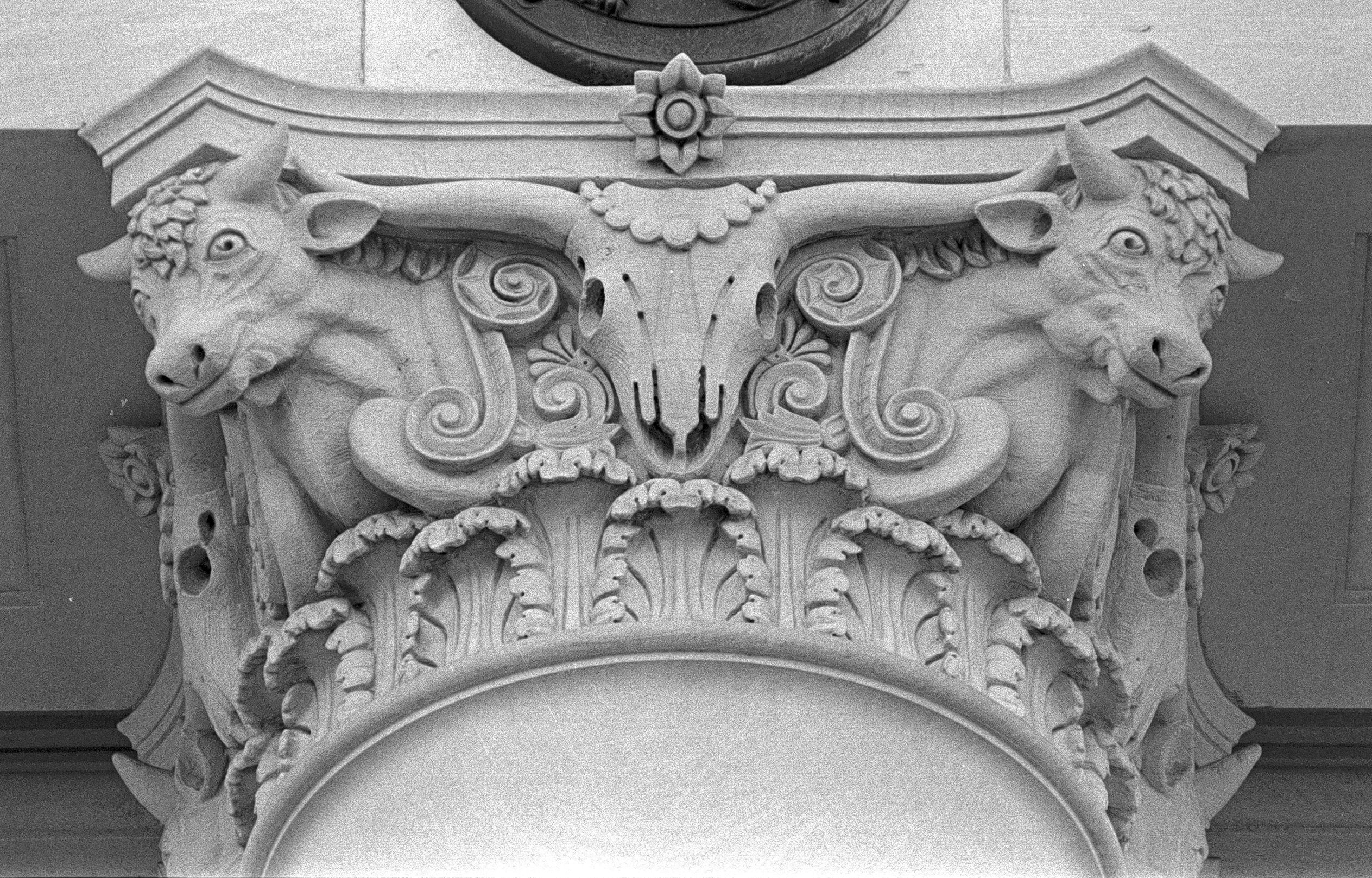 Top of the ornate columns of the US Post Office in Fort Worth, Texas, with Corinthian detailing and cattle motifs.