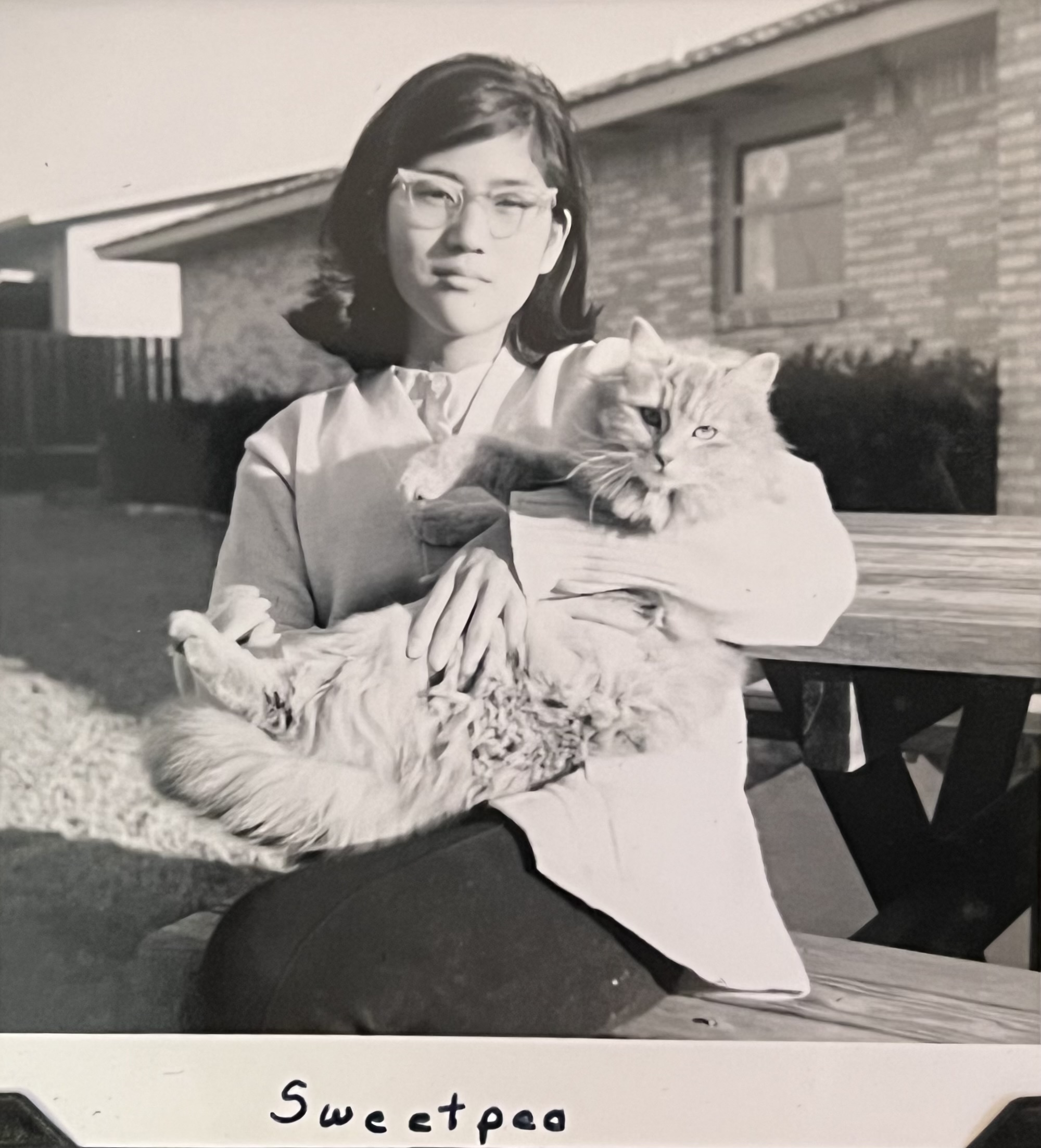 Holly Hayataka, a Japanese American teen with a short flipped hairstyle, cat eye glasses, wearing pants, blouse, and cardigan, holding a long haired cat. She is sitting on a bench in front of her home and holds a long haired cat. She has a small smile. 