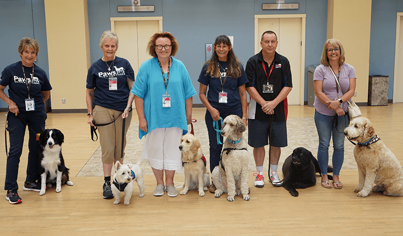therapy dogs with their trainers