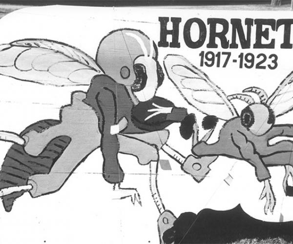 painting of hornets mascot 1917-23